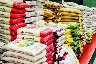 واردات برنج در پی عدم توسعه ارقام پرمحصول برنج